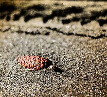 Half Buried by Marco Borzacconi