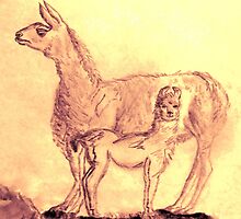 Mother Llama and Baby by EloiseArt