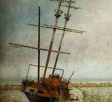 Echoes of piracy by Heather King