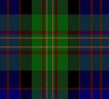 01682 Biskup Tartan Fabric Print Iphone Case by Detnecs2013