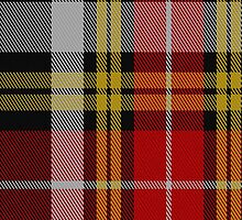 01814 Buchanan Old Dress Clan/Family Tartan Fabric Print Iphone Case by Detnecs2013