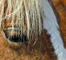 Bashful Beauty by Kathleen Daley