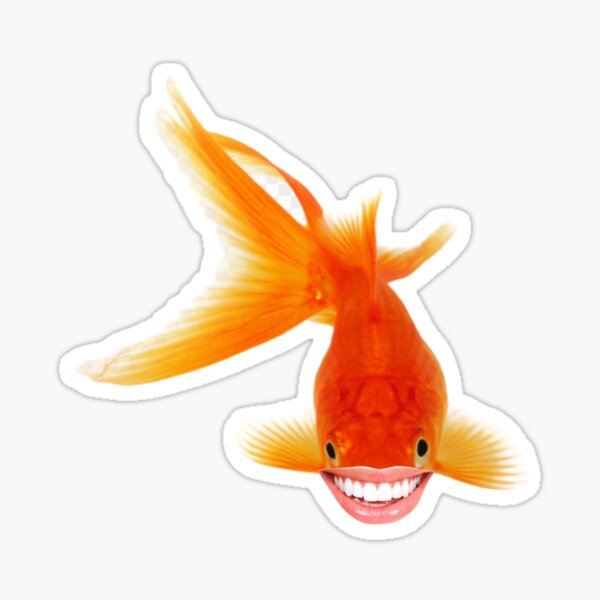 Smiling Fish Sticker For Sale By Peachpasta Redbubble