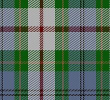 01098 Coulter Dress Clan/Family Tartan Fabric Print Iphone Case by Detnecs2013
