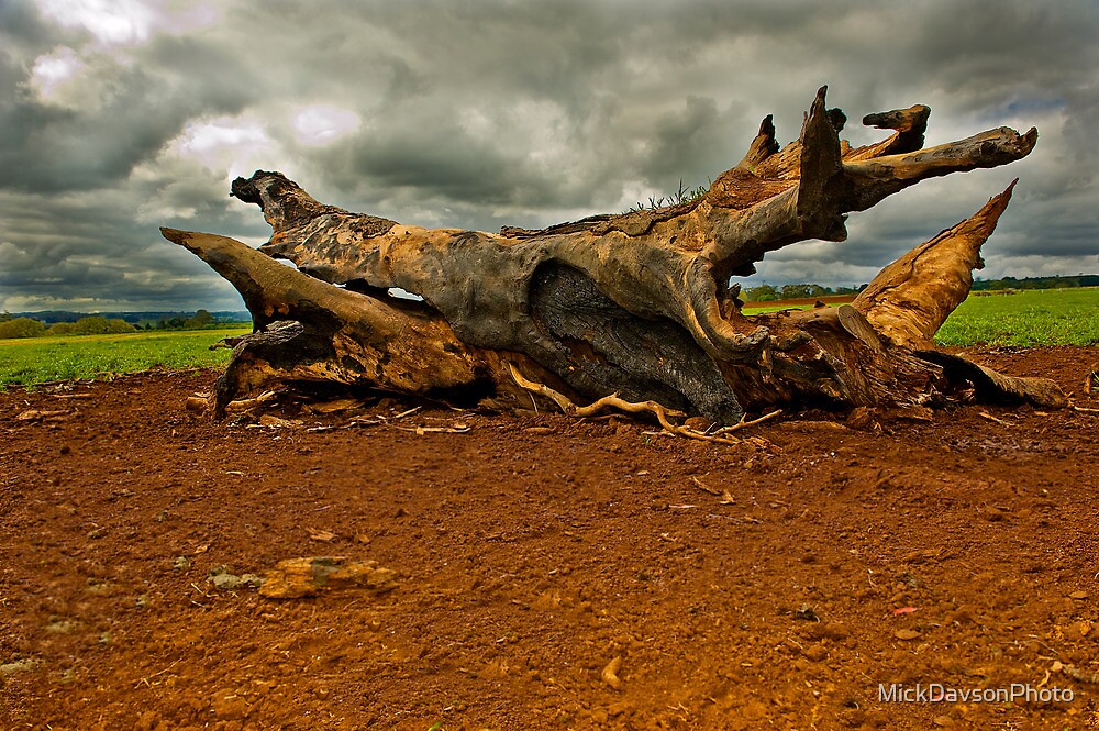 "Central Highlands Victoria" by MickDavsonPhoto Redbubble