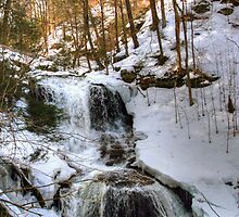 Winter Is Loosing Its Grip On Tuscarora Falls by Gene Walls