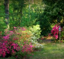 Neighbors Garden by Ginger Barritt