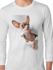 chihuahua long sleeve shirt