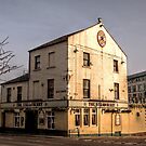 The Strawberry by axp7884