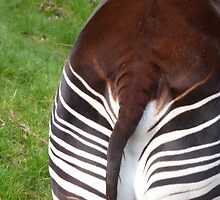 Does my butt look bigger in plain or stripes? by Sandra Caven