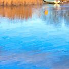 Little Boat on the Banks of the Corrib in Galway by Mark Tisdale