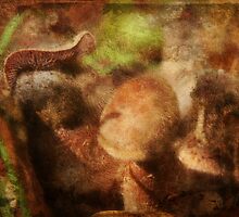 Abstract Mushrooms by Ginger Barritt
