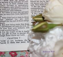 Romans 6:23 by aprilann