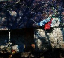 Broken Old Place by Ginger Barritt