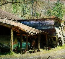 Old Car and Broken Shed by Ginger Barritt