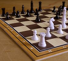 chess by slavikostadinov