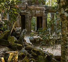 Ta Promh Temple by mlphoto