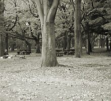 Rest Break by Emily McAuliffe
