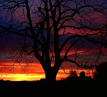 There's a thought that fills your mind..A vision of time..When you gaze at the morning sky..An orbit survey finds your mind..I will remember by jammingene