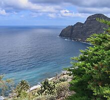 Sea View from La Gomera by Avril Harris