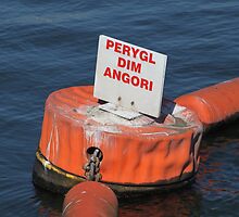 "No anchoring" in Welsh. Not even 15 minutes as allowed in Lyme Regis. by Poverty