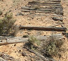 Joe Mortelliti Gallery - Ruins of a railway, Old Ghan Railway, South Australia. by thisisaustralia