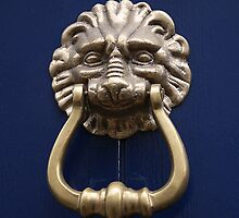 Xtreme Piercing Door Knocker by patjila