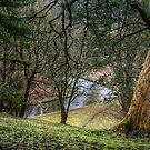 HDR Deer Park View by axp7884