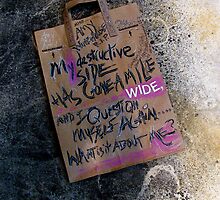 my destructive side . . . by evon ski