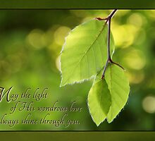 May the Light of His Love Shine (Card) by Tracy Friesen