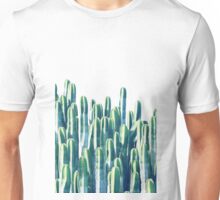 cacti merch drop