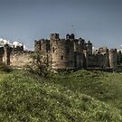 Alnwick Castle by axp7884