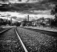 Our journey is determined by choices by Maree Cardinale