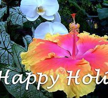 happy holi photography by maydaze