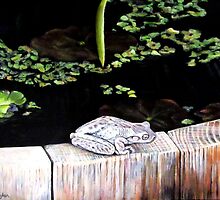 CHILLIN' AT THE LILY POND by © Linda Callaghan