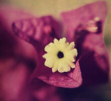 Waking Up Happy by Laurie Search