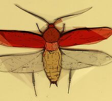Insect Print 2 by harry oelmann