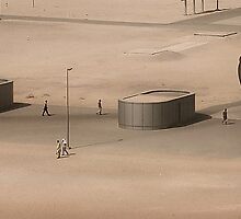 Oasis by Bruce Watson