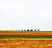 grain bins by Lynne Prestebak