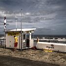 Lifeguard by Andrew Pounder