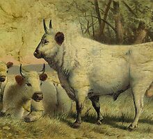 The Cows Came Home by Sarah Vernon