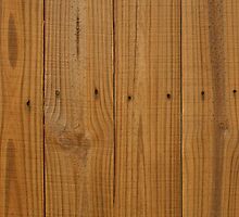 Weathered Wood Fence by GreenSpeed