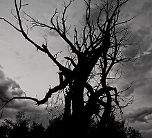 Reach for the Moon by Jeffrey Sinnock