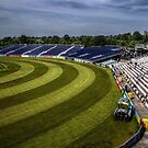 North East Terrace by Andrew Pounder