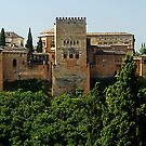 Alhambra de Granada by airon