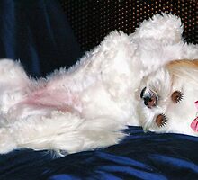 ❤‿❤PLAYMATE OF THE MONTH-FULL FRONTAL VIEW AW ❤‿❤ by ✿✿ Bonita ✿✿ ђєℓℓσ