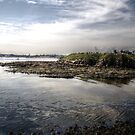 Tyne & Prior's Haven View by Andrew Pounder