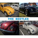 THE BEETLES by Andrew Pounder