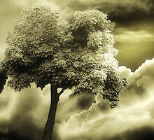 Pause For Thought by Christine Lake