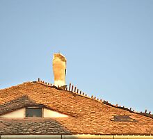 Old Roof with A Chimney and A Triangular Eye-Like Window by ivDAnu